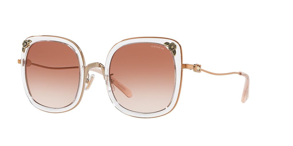 HC7101B L1081 | Sunglass Hut (US)