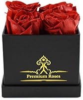 Premium Roses | Model Posh | Real Roses That Last 365 Days | Roses in a Box| Fresh Flowers (Black... | Amazon (US)