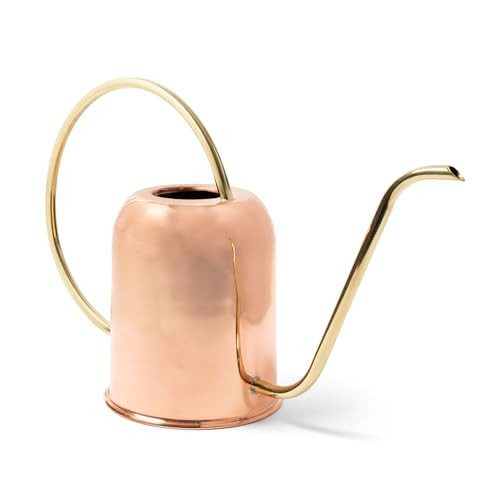 Copper Watering Can Indoor Plants - 48oz Long Spout Precise Small Water Can for Plants, Bonsai, Succulents, Houseplants, or Garden - Metal Inside or Outdoor Plant Watering Cans by Kings County Tools | Amazon (US)