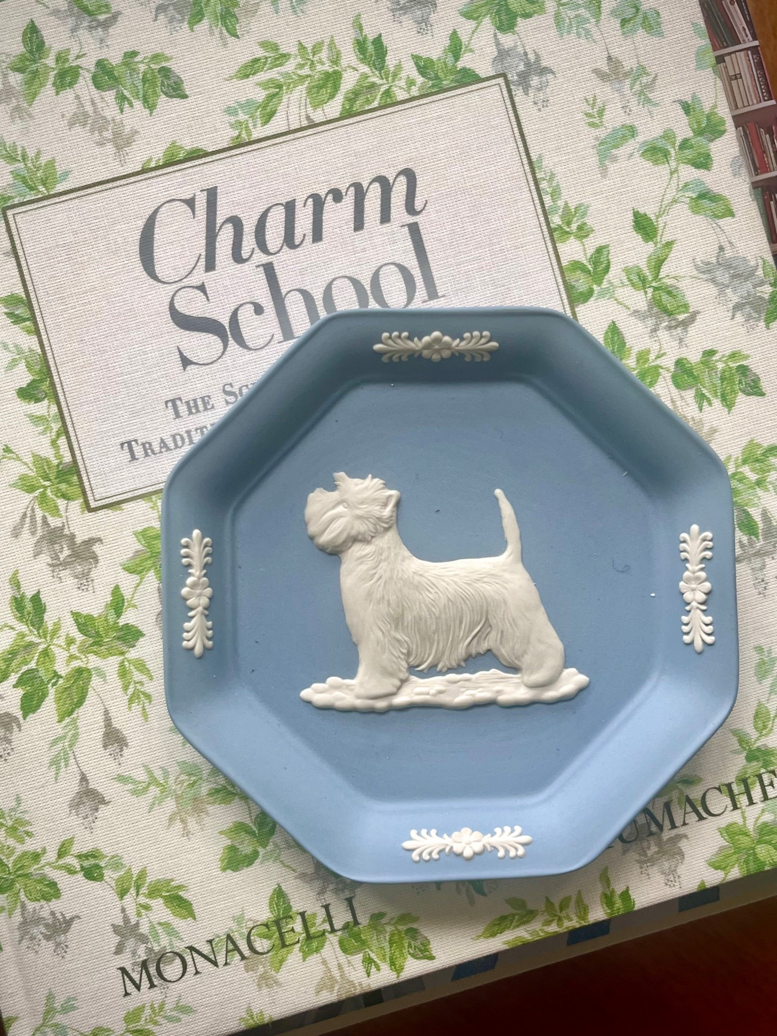 Alert for all my Westie friends!! There are a few of these super hard to find Westie Wedgwood trinket dishes floating around out there at the moment. Don’t wait! 

#LTKHome #LTKStyleTip #LTKPets