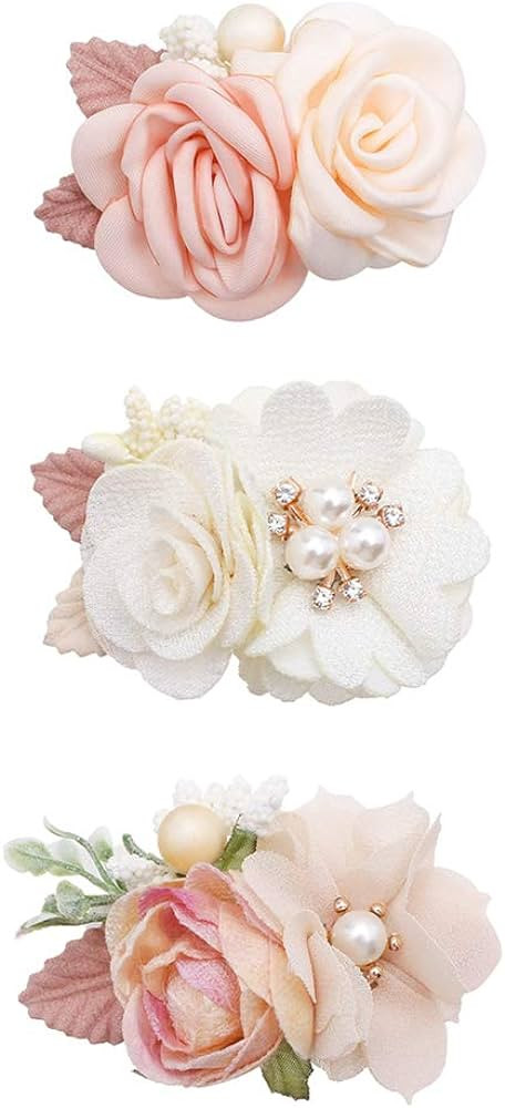 Flower Hair Clip BFNAAgirl Baby Girl Hair Bows Exquisite Hair Accessories Alligator Clips for Inf... | Amazon (US)