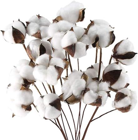 DomeStar Cotton Stems, Natural Dried Cotton 8 Packs Total 15 Bolls Cotton Sprigs Cotton Blooms Fl... | Amazon (US)