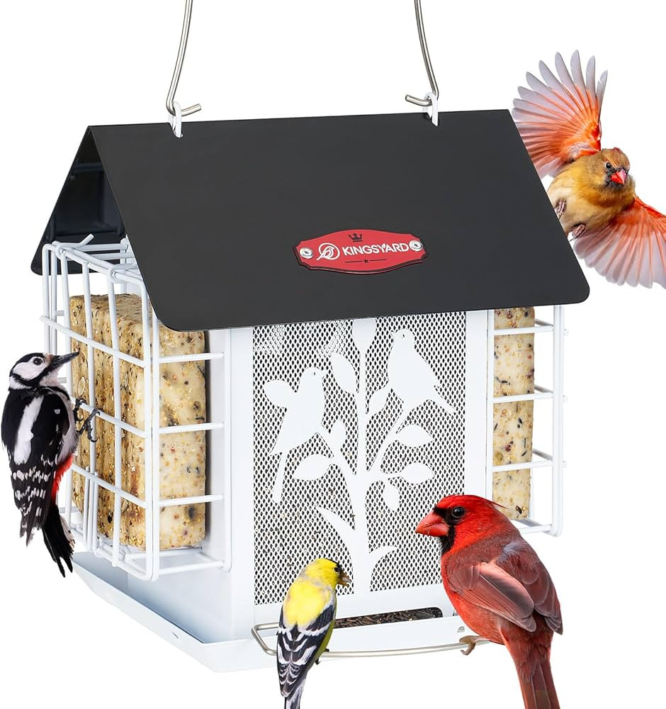 Kingsyard Bird Feeder for Outdoor Hanging, All Metal, Wild Bird Feeder with Double Suet Cages, Se... | Amazon (US)