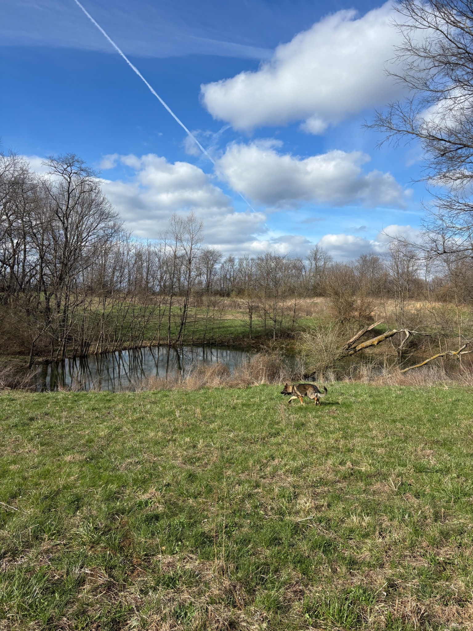 In live with our new property! 11.5 acres and 3 barns! So grateful for Jesus opening every door!

#LTKdayinmylife #LTKmorningroutine #LTKmomlife