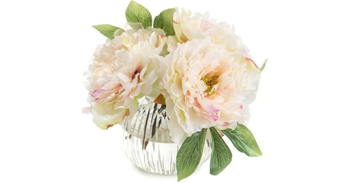 Dazzling Peonies | Layla Grayce