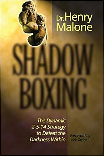 Shadow Boxing: The Dynamic 2-5-14 Strategy to Defeat the Darkness Within | Amazon (US)