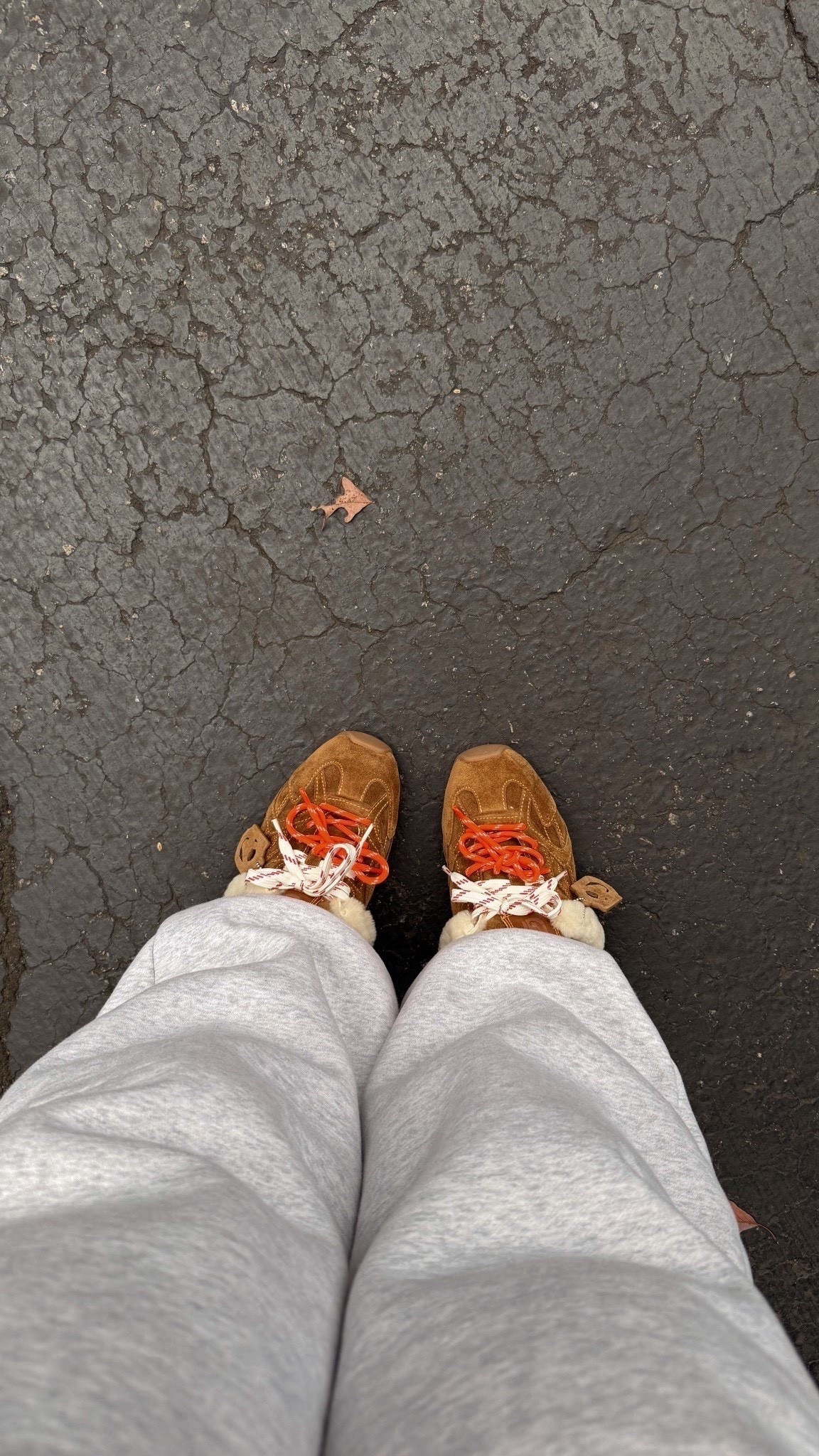 Casual shoes I’ll be styling as we transition from fall to winter! 



#LTKootd #LTKMidsize