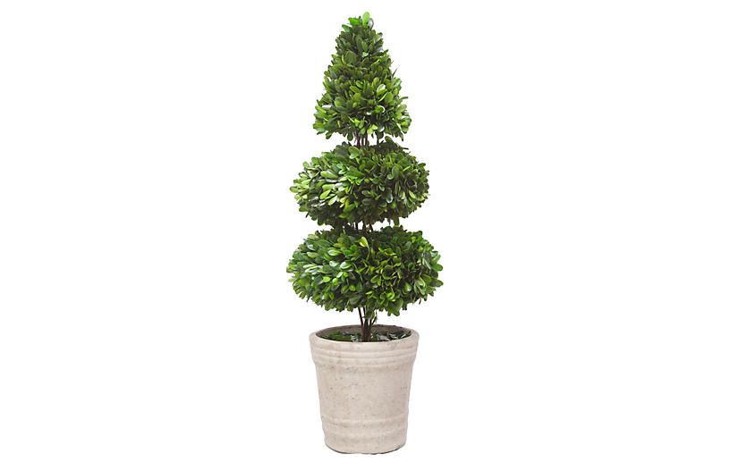 28" Rodeo Boxwood Topiary, Faux | One Kings Lane
