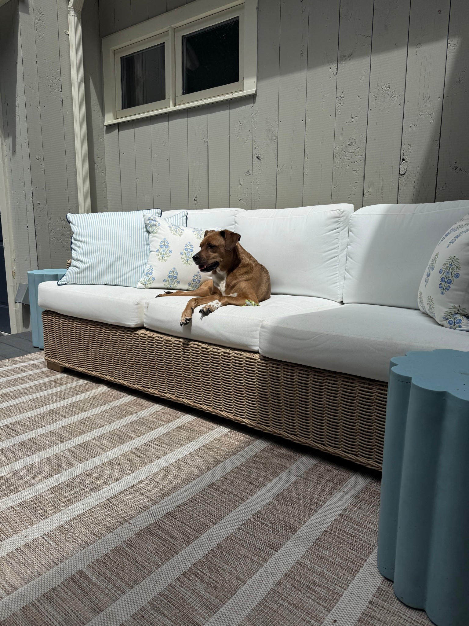 My dog appreciates the addition of our new #outdoorcouch this season! 

#LTKSeasonal #LTKHome #LTKFamily