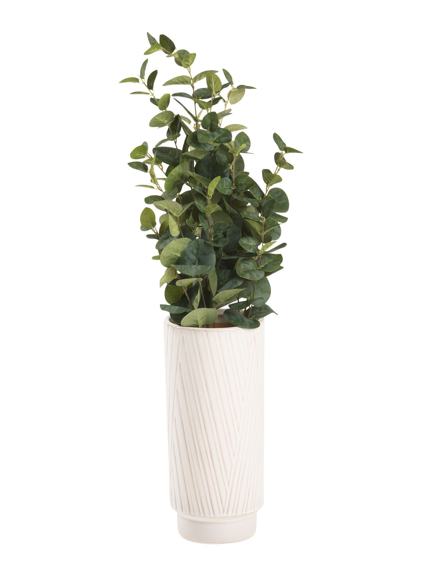 Large Eucalyptus In Layered Line Vase | Home | Marshalls | Marshalls