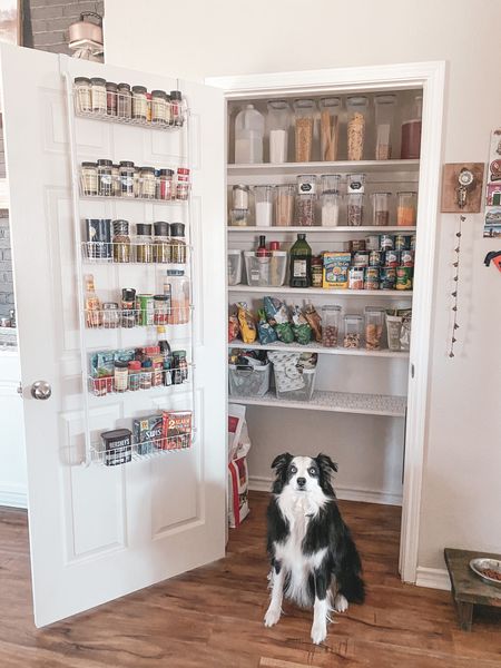 Sources linked for this pantry organization!