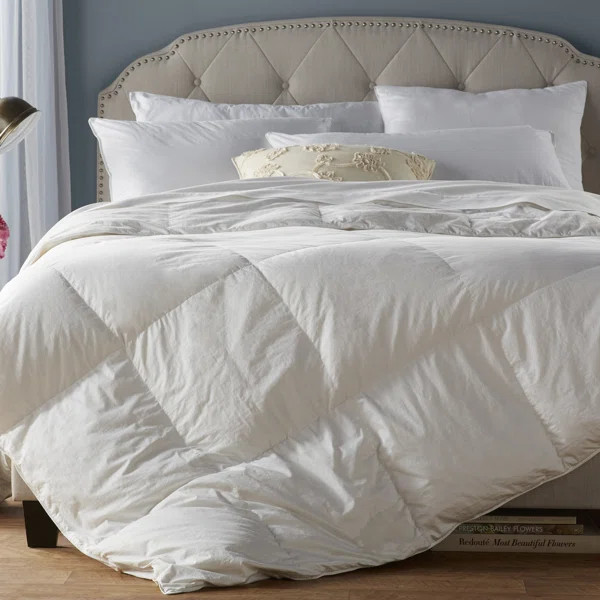 White All Season Down Alternative Comforter | Wayfair North America
