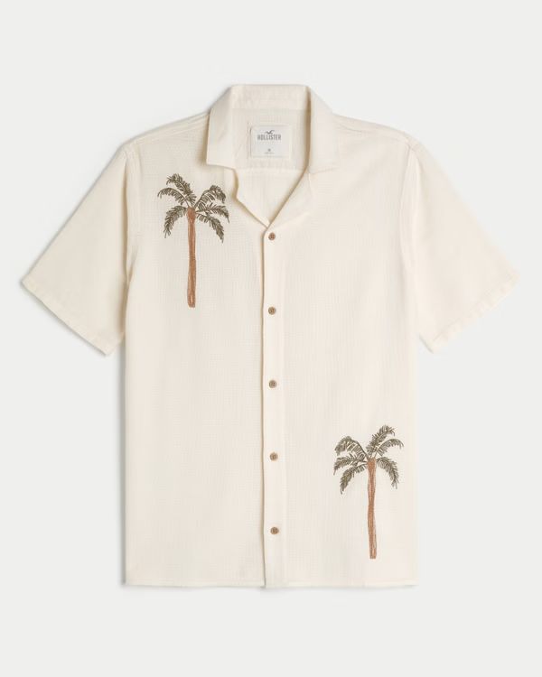 Boxy Embroidered Palm Graphic Shirt | Hollister (US)