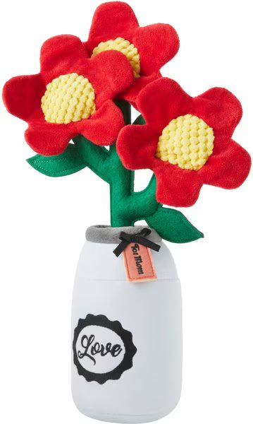 FRISCO Mason Jar Flower Blooms Plush Squeaky Dog Toy - Chewy.com | Chewy.com