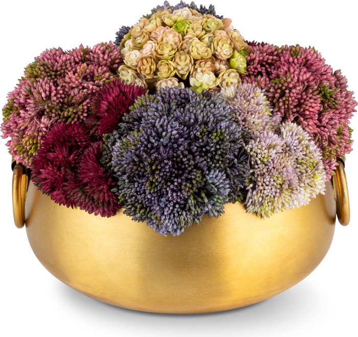 CocoBella Beatrix Gold Sedum Arrangement | Nordstrom | Nordstrom
