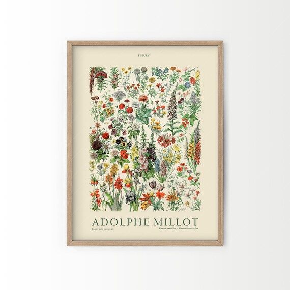 Flower Print Adolphe Millot Poster Vintage Flower Poster | Etsy Canada | Etsy (CAD)