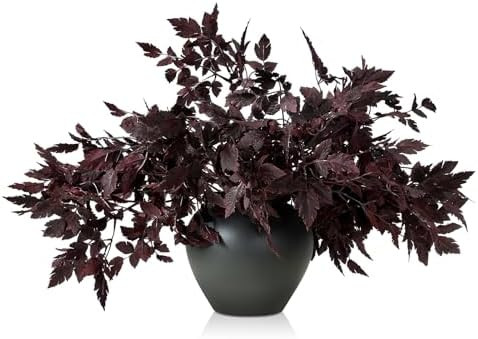 Lyrow 10 Pack 18 Inches Artificial Cimicifuga Plant Leaf Spray Faux Plum Cimicifuga Ramosa Leaf B... | Amazon (US)