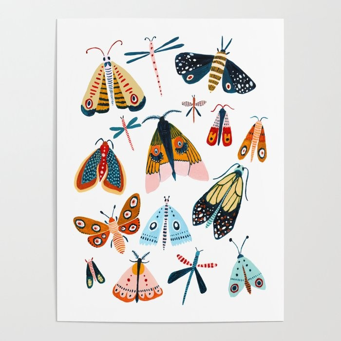 Moth Species Poster | Society6