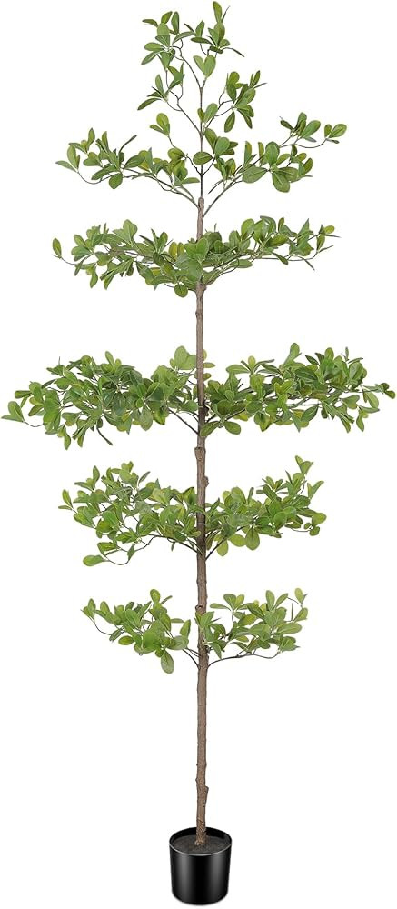 Artificial Black Olive Tree 6ft – Faux Shady Lady Tree with Natural Wood Branches & Realistic G... | Amazon (US)