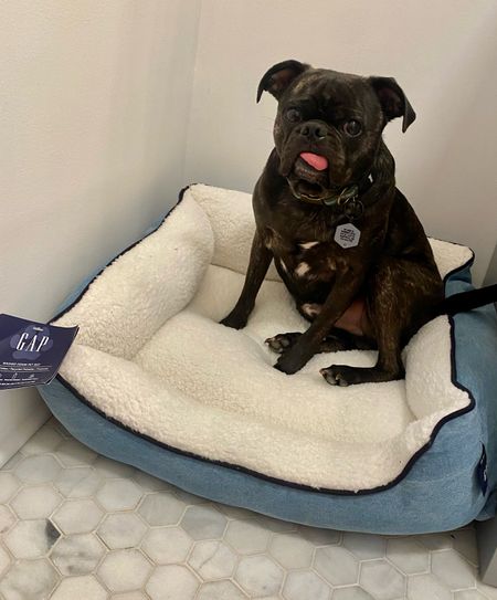 #Ad #WalmartPartner 
I can’t believe I found this GAP pet dog bed on Walmart! I’m obsessed with the denim 😍 HOW CUTE! 

#LTKFind