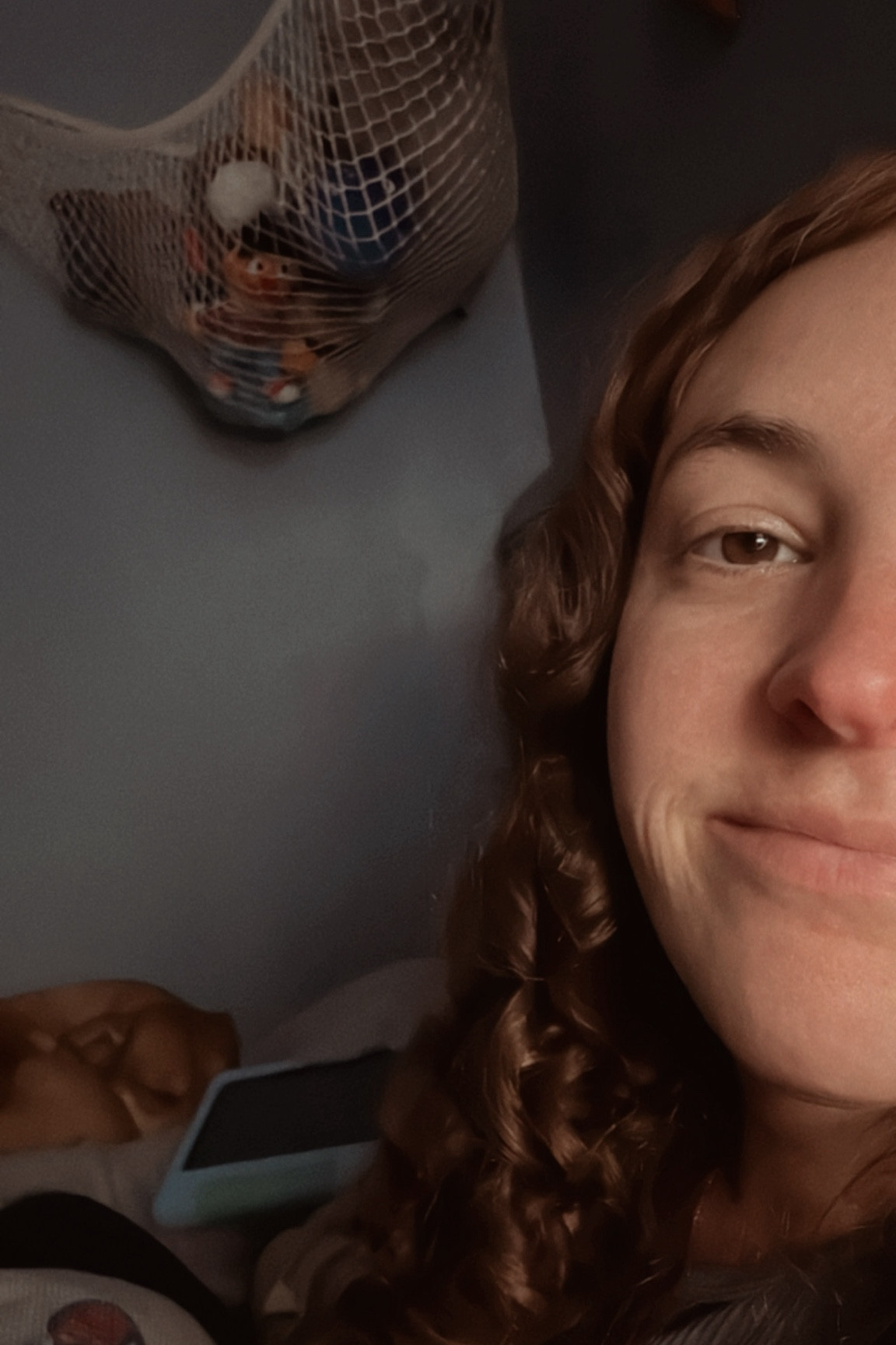 This stuffed animal hammock was one of our better investments for keeping toy storage under control 😅

#LTKHome #LTKBaby #LTKKids