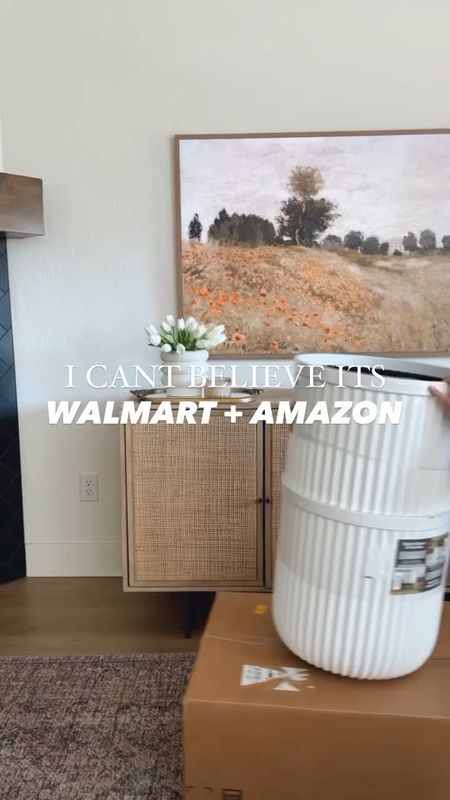 Walmart and Amazon are the perfect places to get planters and faux plants!

#LTKsalealert #LTKSpringSale #LTKhome