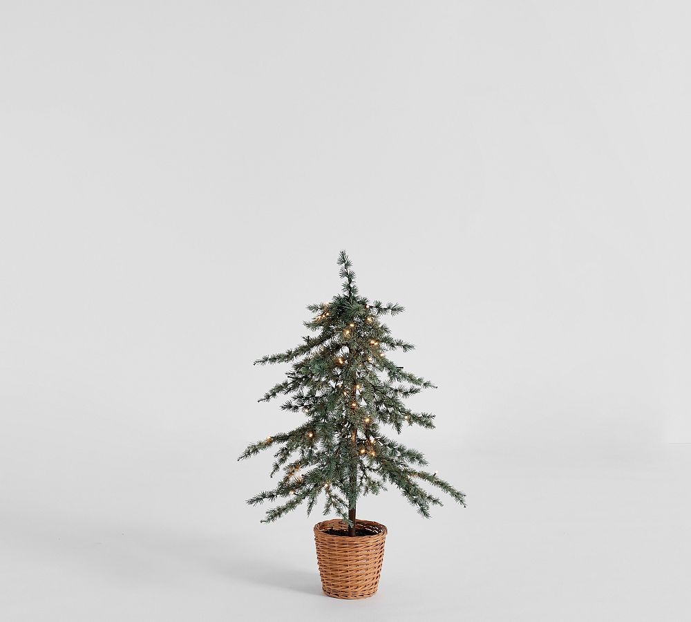Lit Faux Draping Tree In Basket | Pottery Barn (US)