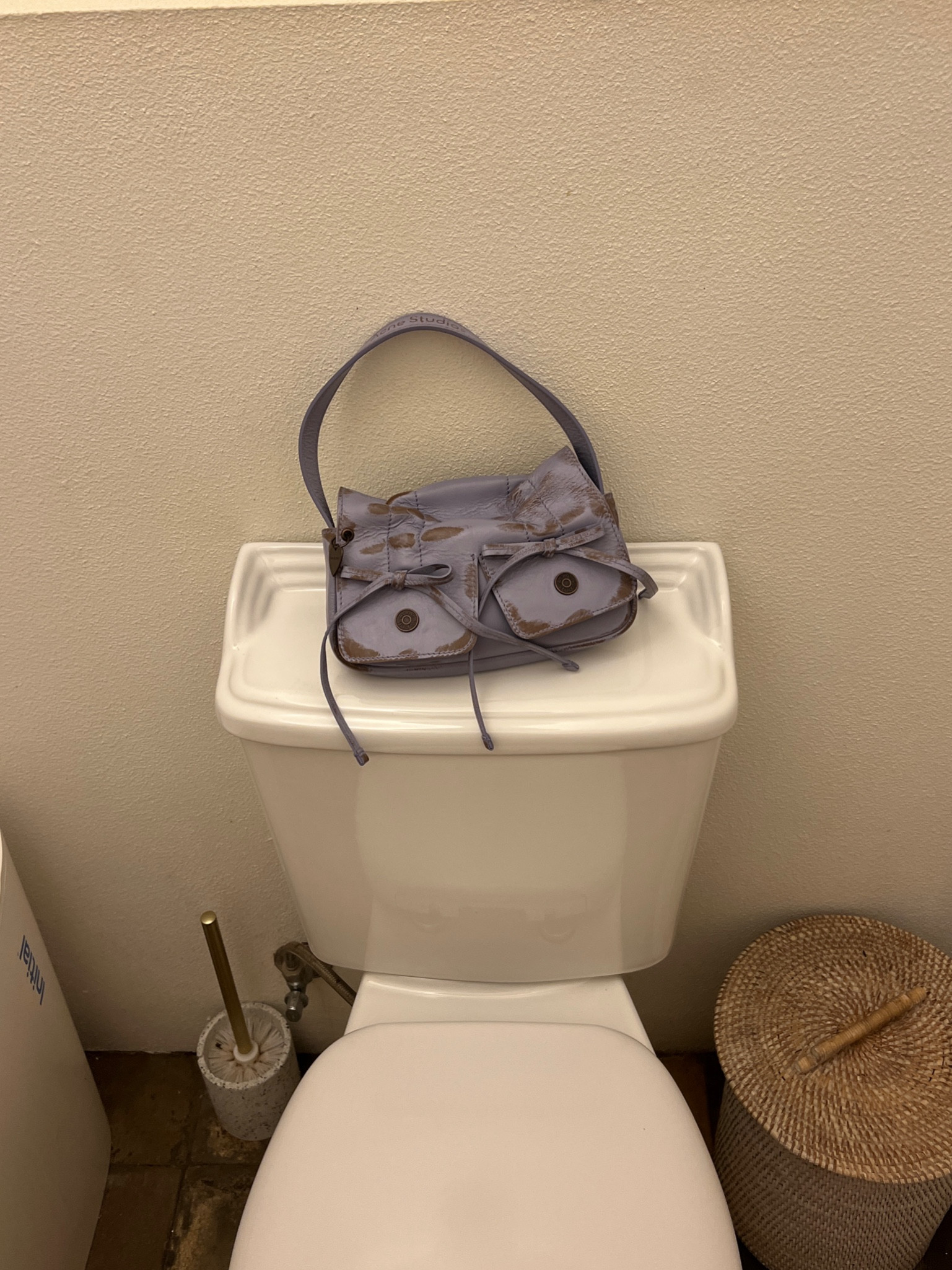 the most perfect bag 🥹🥹

#LTKitbag #LTKaustralia