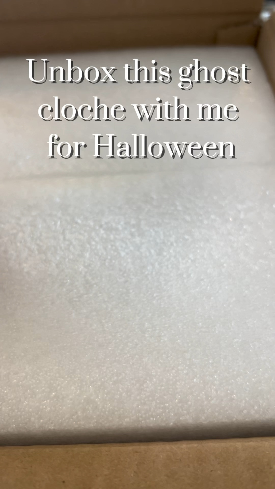 Halloween decor on my entry way table. I love this light up ghost cloche! You can set a timer for when you’d like it to light up. I found this Skelton candle at Homegoods, but found a poshmark listing for the exact 1!
Halloween decor. Home decor. Holiday decor. Halloween. 

#LTKVideo #LTKHome #LTKHalloween