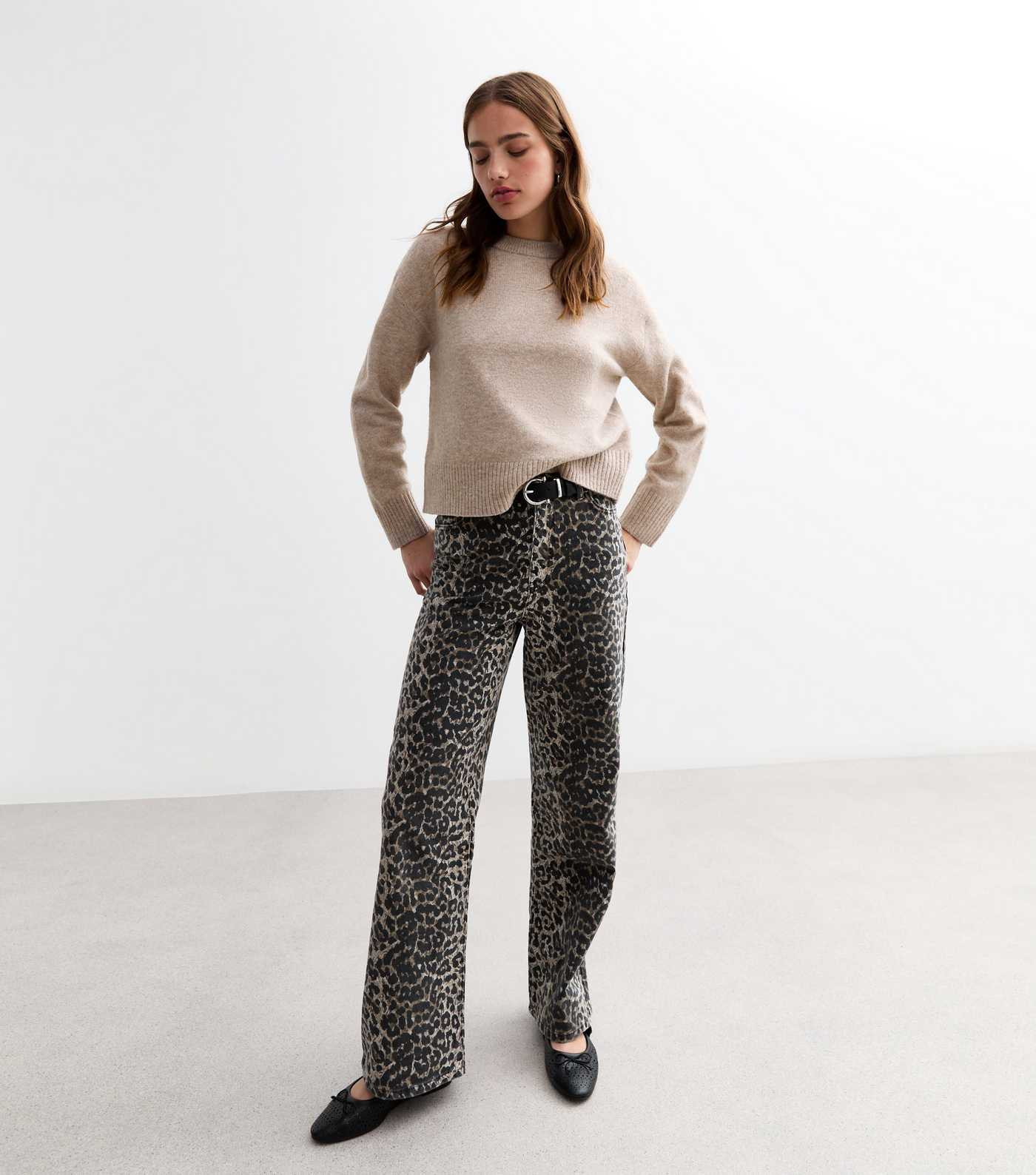 Brown Soft Knit Crew Neck Jumper  | New Look | New Look (UK)
