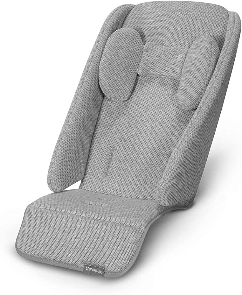 UPPAbaby Infant Snugseat | Amazon (US)