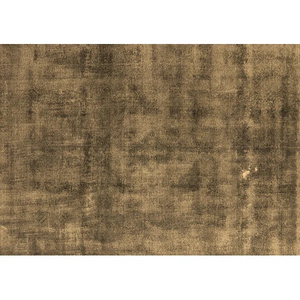 Delfazio Machine Woven / Power Loomed Brown Rug | Wayfair North America