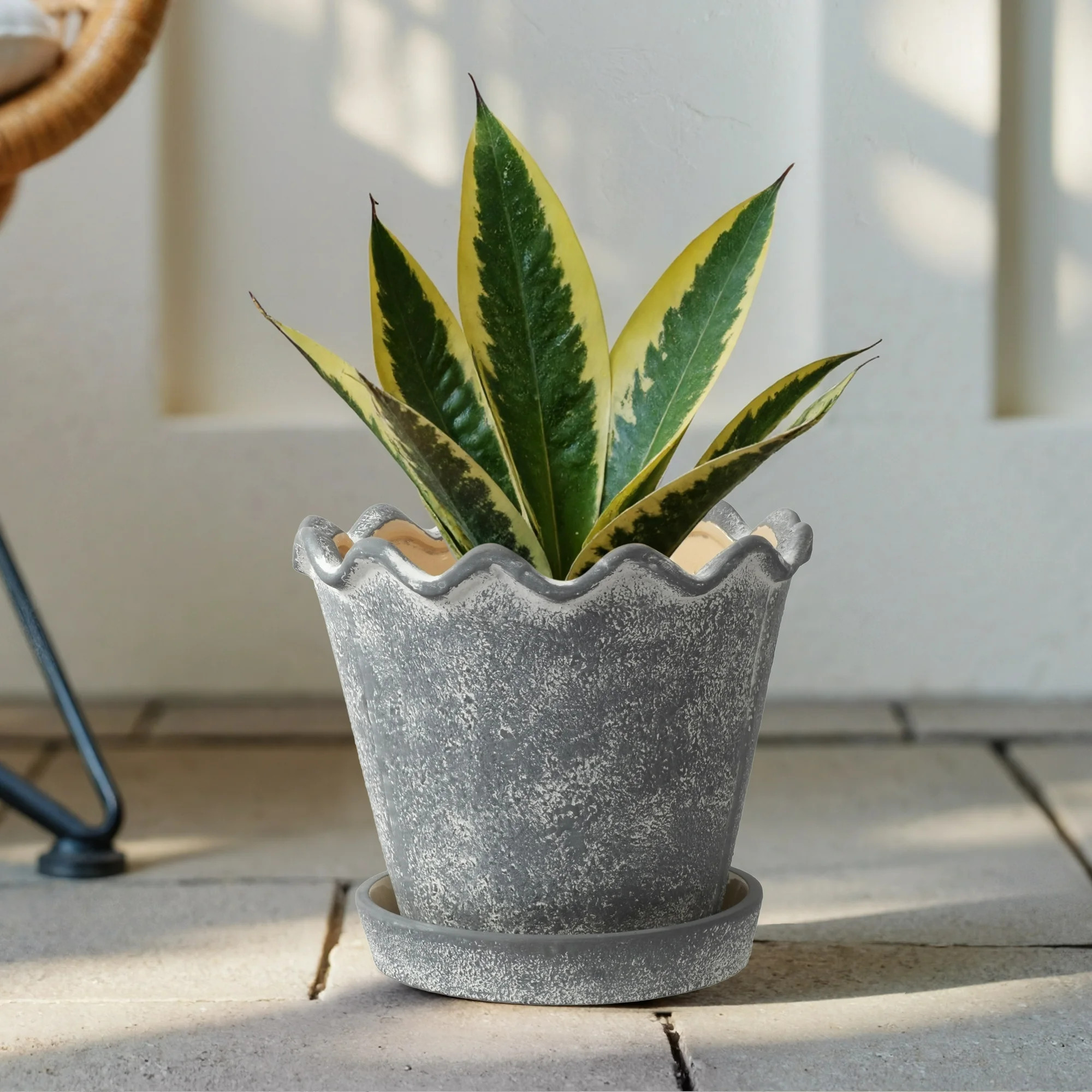 My Texas House Gray 8 inch Wave Planter Ceramic Pot for Indoor and Outdoor Use | Walmart (US)
