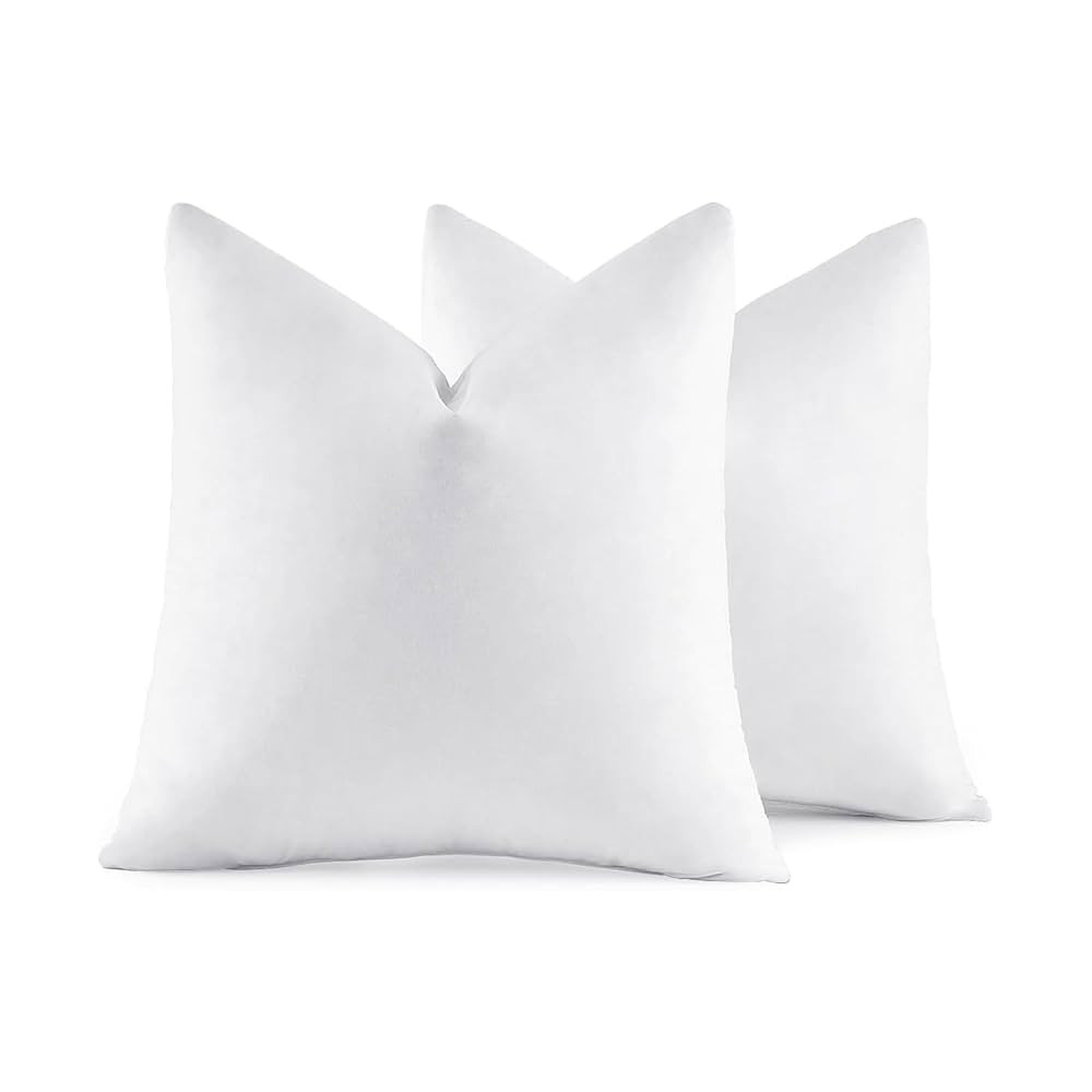 MIULEE 22x22 Pillow Inserts,Set of 2 Down Feather Throw Pillows for Couch Sofa Bed, Decorative Fl... | Amazon (US)