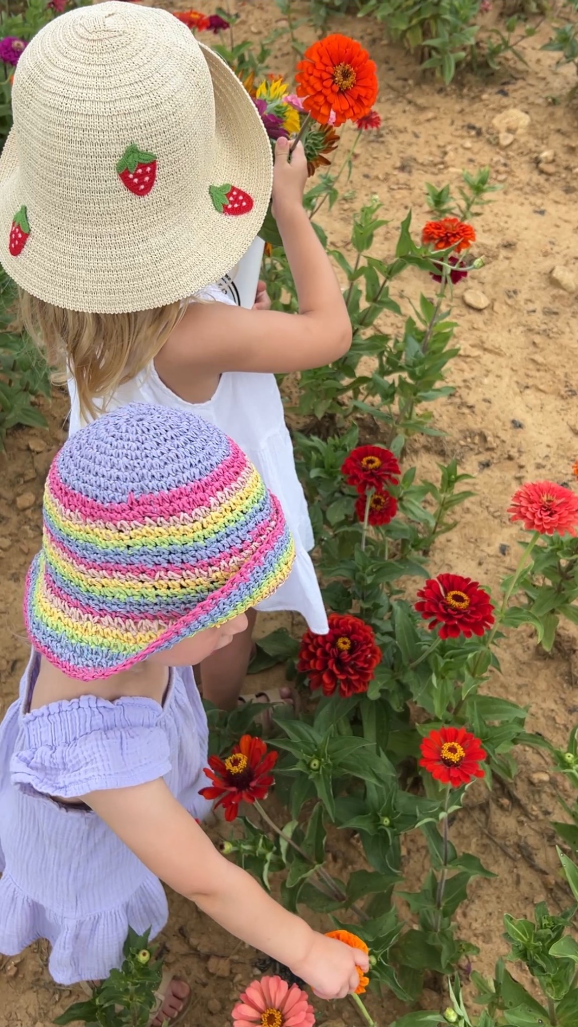 The girls flower picking outfits 🧺 🌸👒

#LTKKids #LTKFamily #LTKBaby