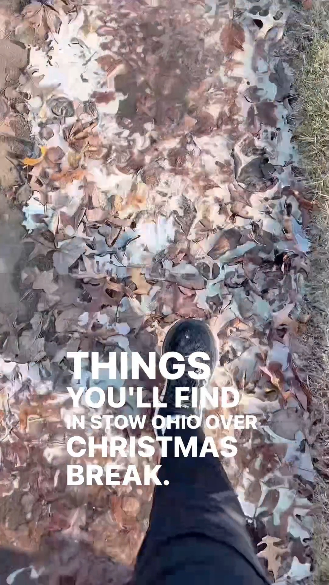 Casual travel outfits

Morning walk in Stow, Ohio and this is what I saw!

Hoka sneakers, joggers



#LTKSeasonal #LTKFindsUnder100 #LTKOver40 #LTKfitnessgoals #LTKActive #LTKSaleAlert #LTKFindsUnder50 #LTKGiftGuide #LTKHoliday #LTKMidsize #LTKTravel #LTKgrwm #LTKootd #LTKdayinmylife
