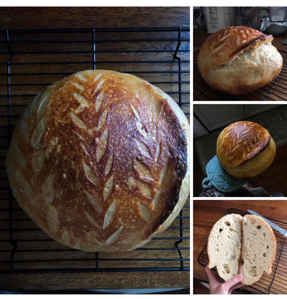 Sharing my favorite sourdough essentials!

#LTKGiftGuide #LTKHoliday #LTKhome