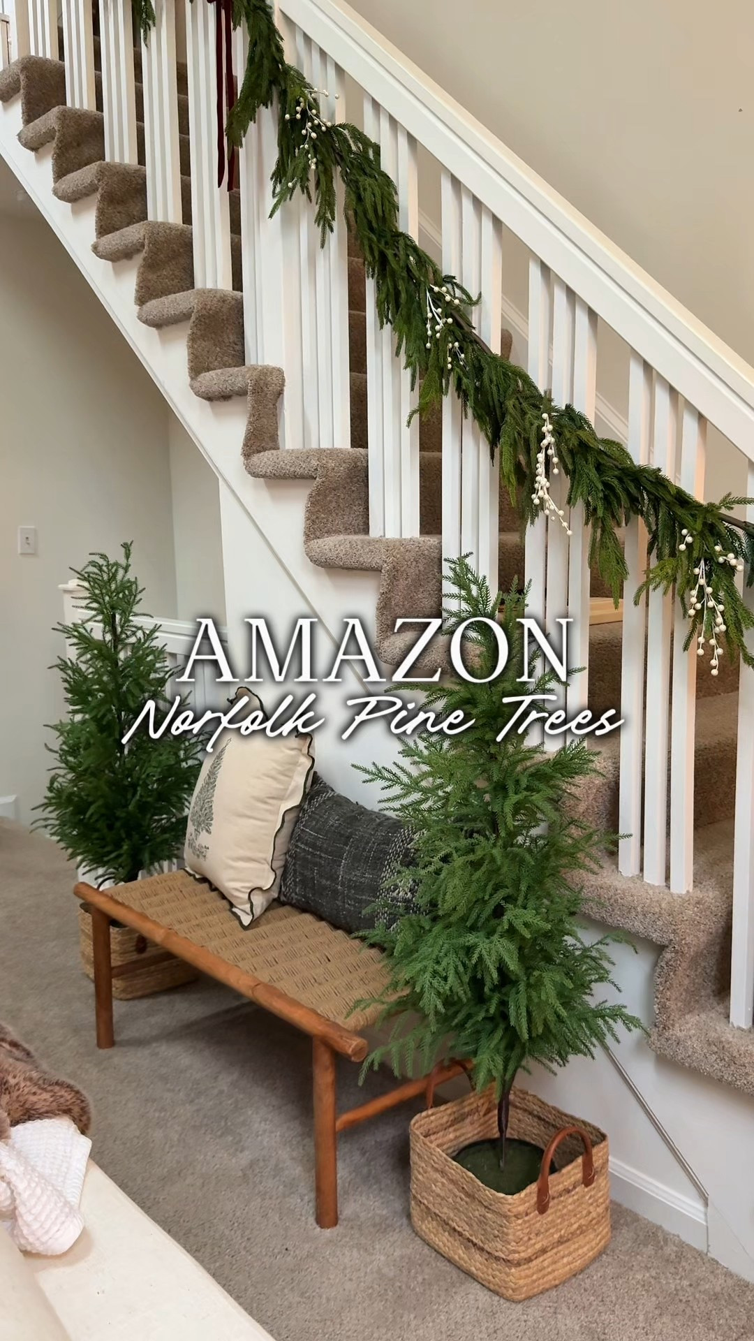 These 4 ft Norfolk Pine Trees feel and look so realistic! These would be great styled on your porch, entryway, next to a bench or paired together in a corner of a room! 

This comes in a 4ft or 5ft option- these are the 4ft! 
I loved putting them inside of a woven basket 🧺 These will be great to keep out for winter decor!

#LTKHome #LTKHoliday
