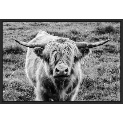Amanti Art Highland Cow Staring Contest by Nathan Larson Canvas Wall Art Print Framed 23 x 16-in. | Target