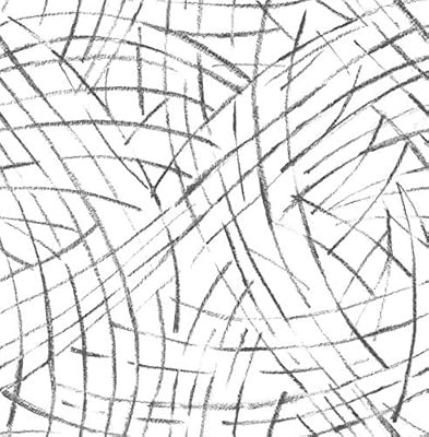 NuWallpaper NUS3500 Black Imprint Wallpaper | Amazon (US)