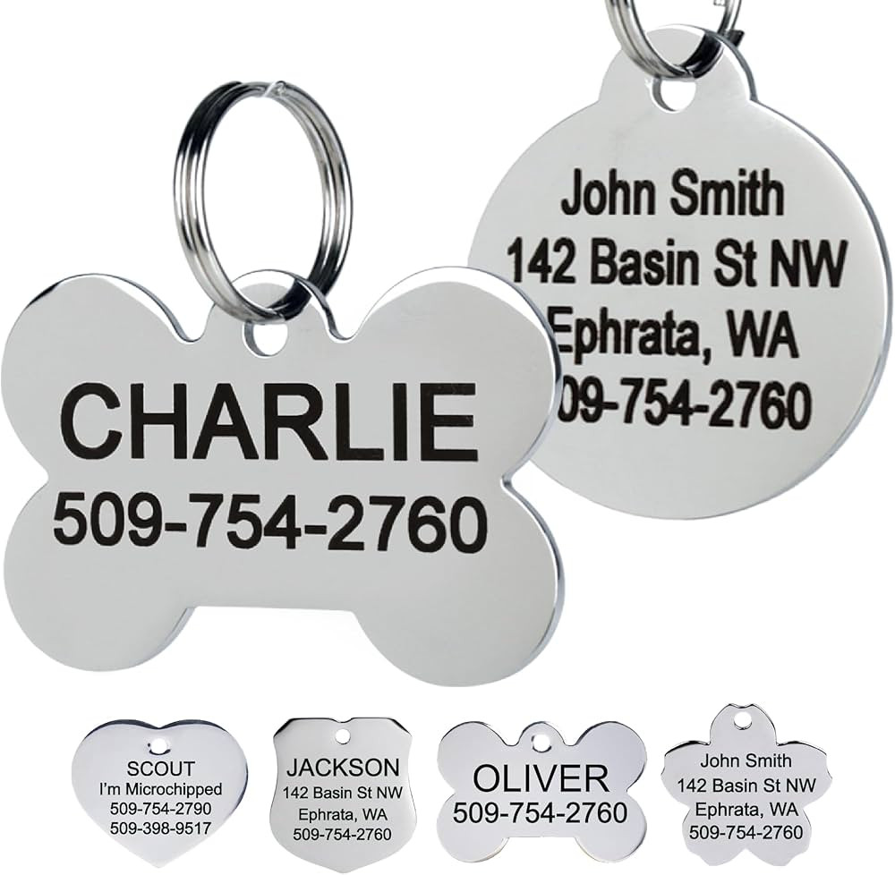 GoTags Stainless Steel Pet ID Tags, Personalized Dog Tags and Cat Tags, up to 8 Lines of Custom T... | Amazon (US)