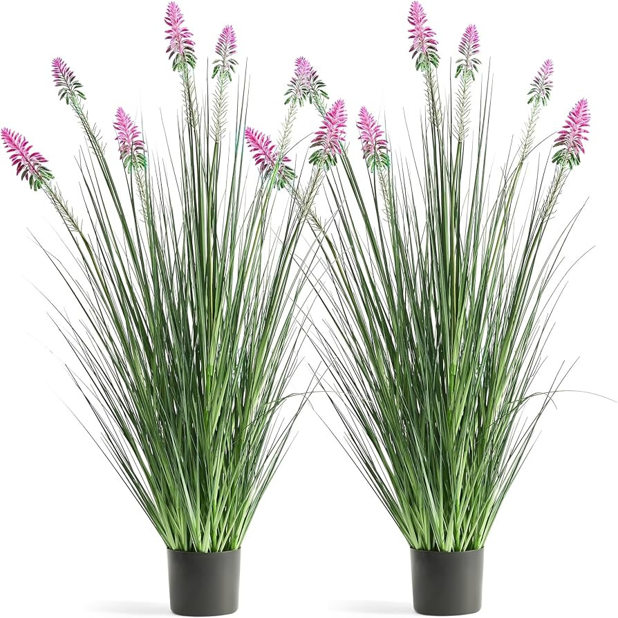 4ft 2-Pack Horsetail Reed Grass with Purple Cockscomb Flower | Amazon (US)