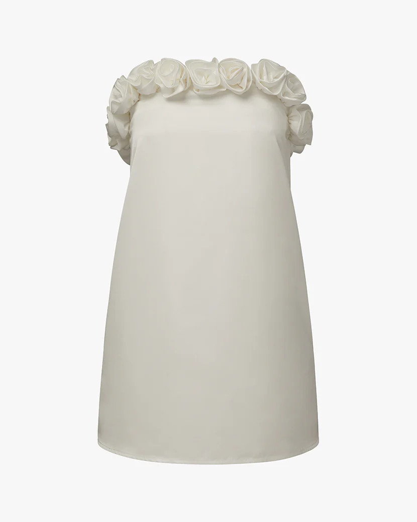 Strapless A-line Rose Mini Dress | We Wore What