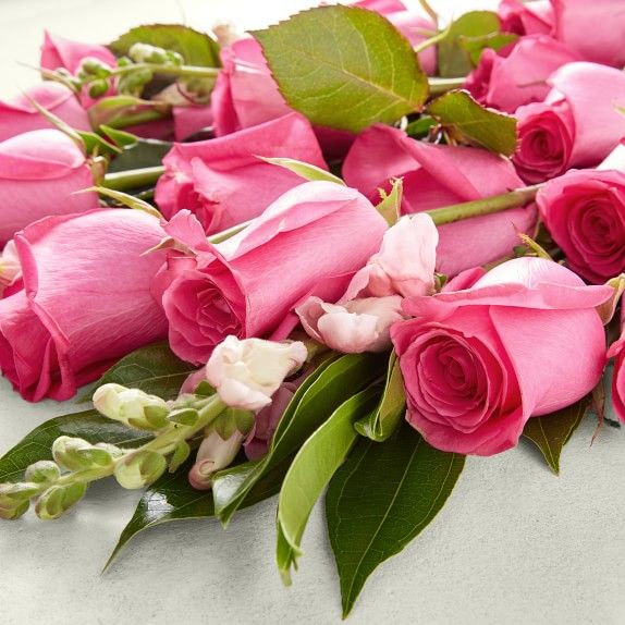 Hot Pink Fresh Rose Deluxe Bouquet | Williams-Sonoma