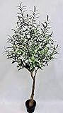 AMERIQUE 5 Feet Gorgeous & Lifelike Olive Tree Artificial Plant with Fruits, in Nursery Pot, Real To | Amazon (US)