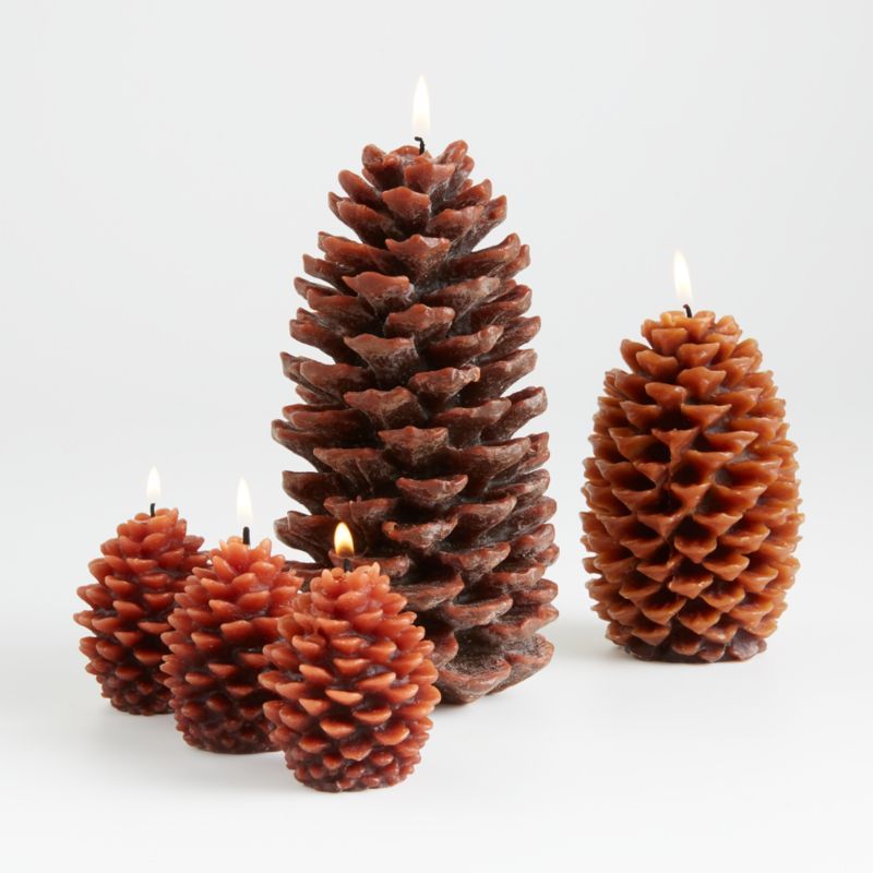 Pinecone Candles | Crate and Barrel | Crate & Barrel