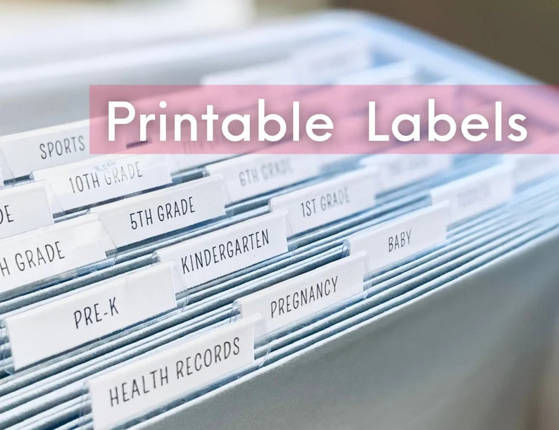 Printable Milestone Tote Labels | Instant Download | School File Box Labels | Kids DIY Memory Box... | Etsy (Global)