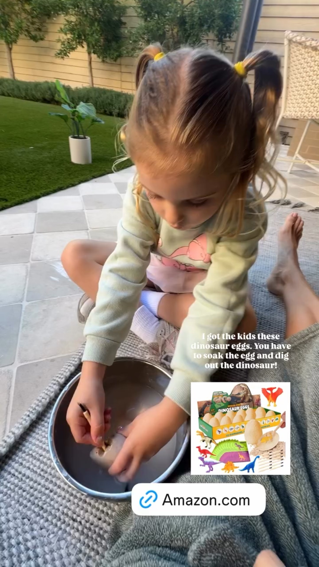 I got the kids these dinosaur eggs. You have to soak the egg and dig out the dinosaur!

#LTKKids #LTKFindsUnder50 #LTKFindsUnder100