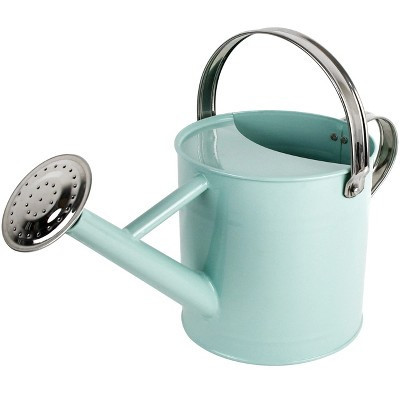 Homarden Half gallon Metal Watering Can with Removable Spout-Teal | Target