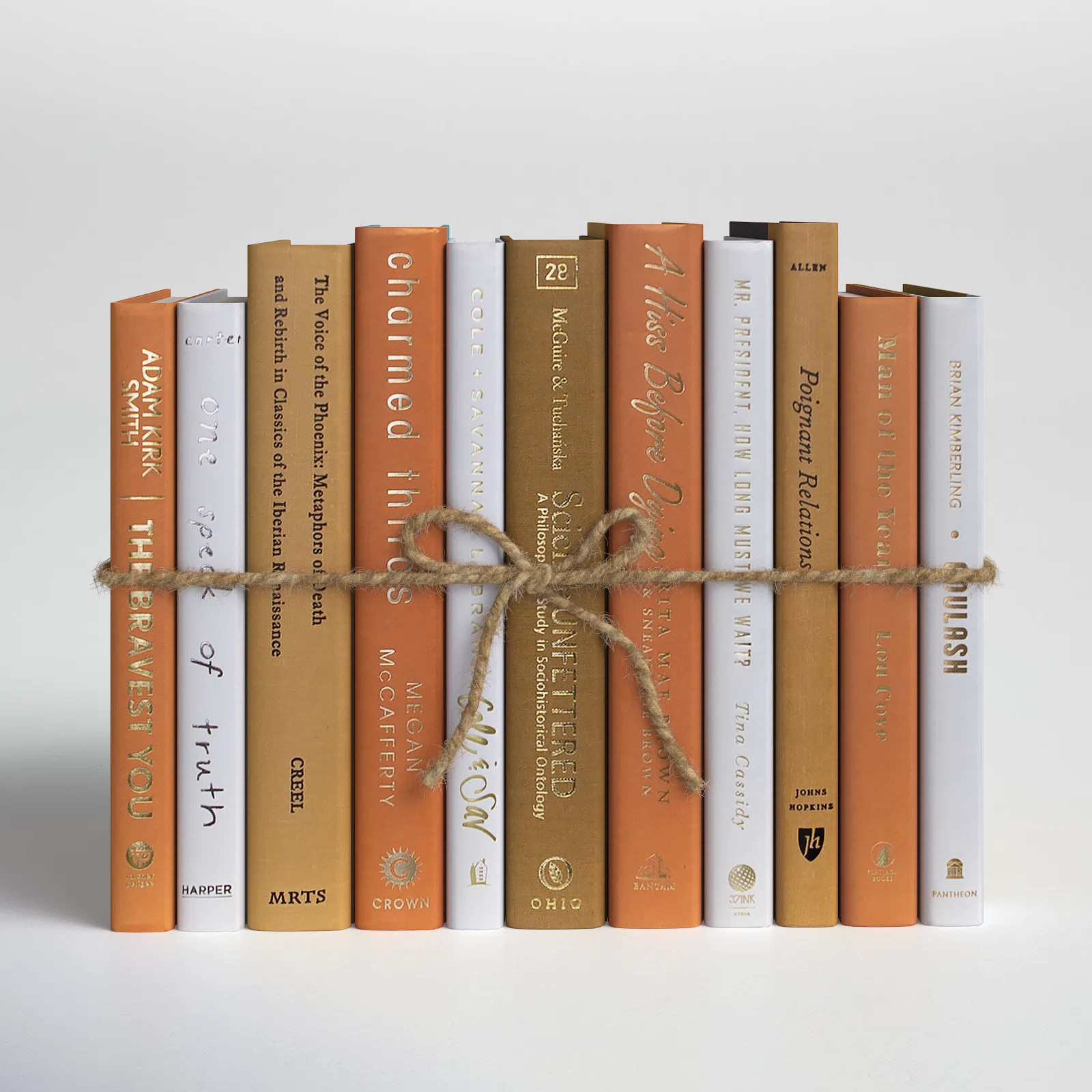 Joss & Main Modern Pumpkin Spice Latte Serefina | Wayfair | Wayfair North America